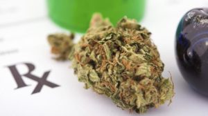 Counsel to Legalized Medical Marijuana