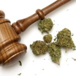 Despite Gains in the Legal Marijuana Industry, Major Investors Remain Cautious