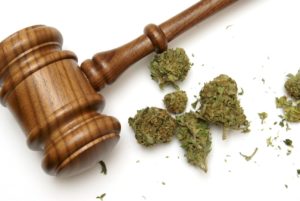 Despite Gains in the Legal Marijuana Industry, Major Investors Remain Cautious