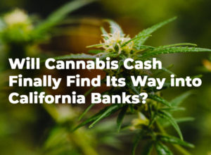 Will Cannabis Cash Finally Find Its Way into California Banks?